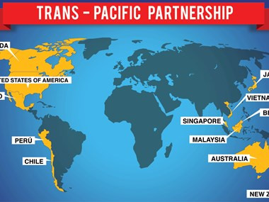 TPP handbook introduced to southern enterprises ảnh 1