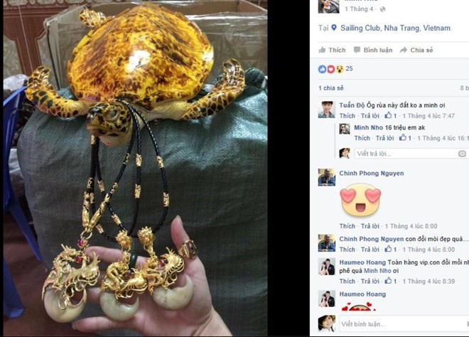 Online wildlife trade needs to be better monitored ảnh 1