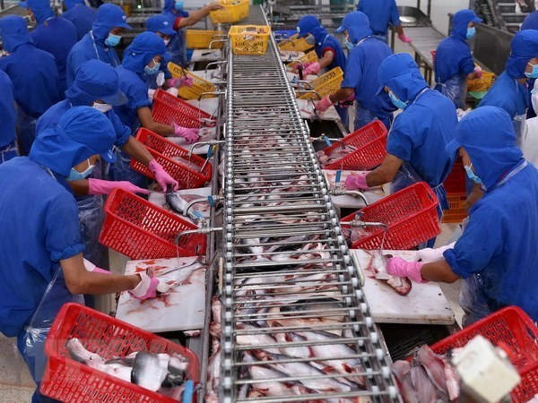 Vietnam eyes stronger export of aquatic products to Brazil ảnh 1
