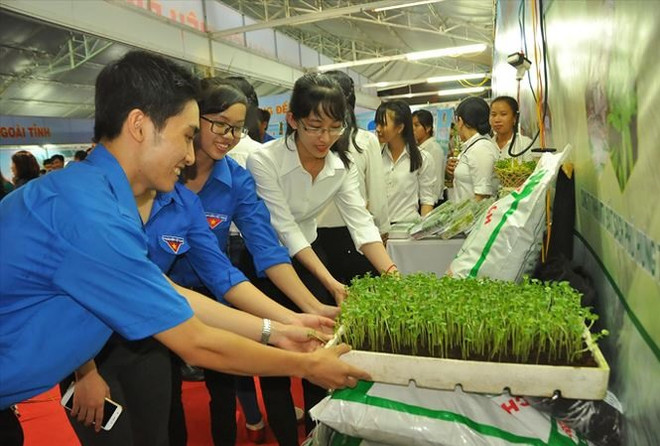 Ben Tre province supports start-ups ảnh 1 Ben Tre province supports start-ups ảnh 1