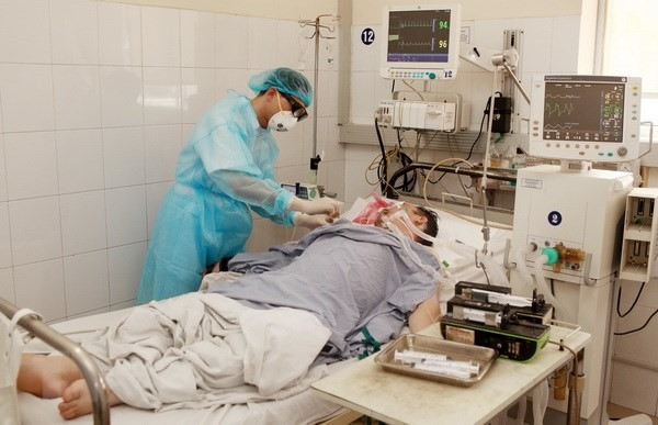 Mekong Delta on alert against swine flu ảnh 1