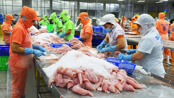 Vietnamese tra fish sector likely to enter new development cycle ảnh 1
