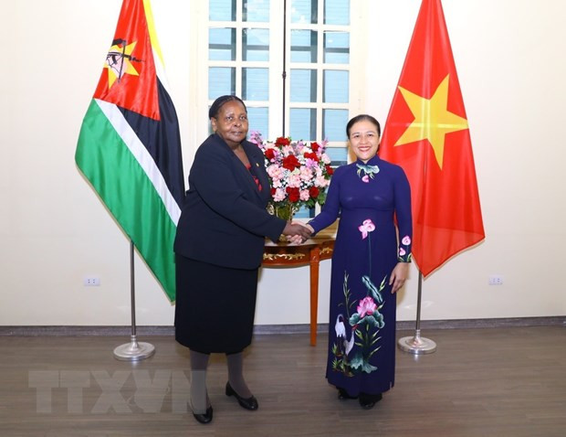 VUFO President suggests Vietnam, Mozambique maximise strengths to deepen friendship ảnh 1 VUFO President suggests Vietnam, Mozambique maximise strengths to deepen friendship ảnh 1