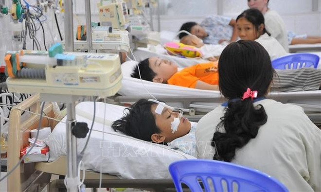 Health Ministry requests vigilance over increase in dengue fever cases ảnh 1