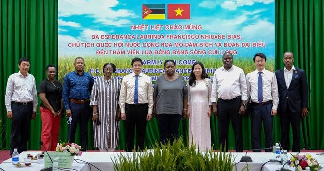 Mozambican guests visit Mekong Delta rice research institute ảnh 1