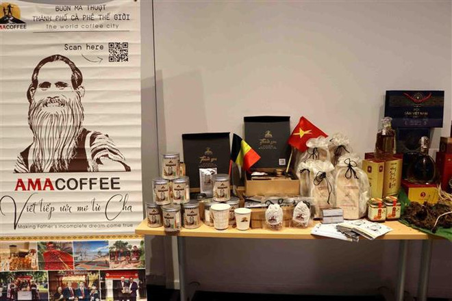 Vietnam, Belgium look to step up trade, investment ties ảnh 2