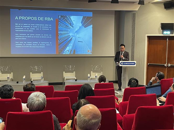 Vietnam, France step up trade, investment cooperation ảnh 1