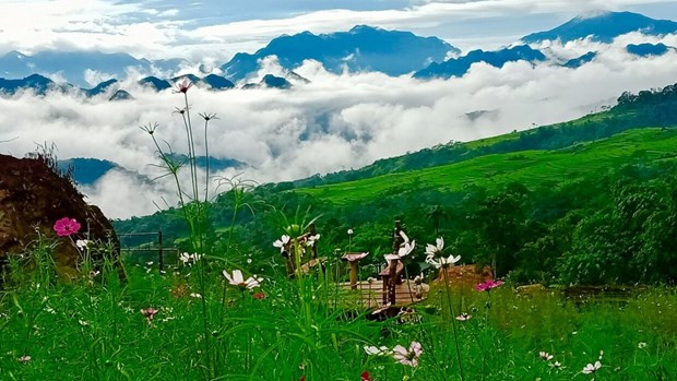 Thanh Hoa aims to attract more tourists from RoK ảnh 1 Thanh Hoa aims to attract more tourists from RoK ảnh 1