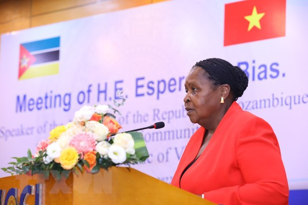Mozambique – gateway for Vietnamese firms to access Southern Africa ảnh 1 Mozambique – gateway for Vietnamese firms to access Southern Africa ảnh 1