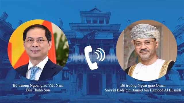 Vietnam forges multi-faceted cooperation with Oman, UAE ảnh 1