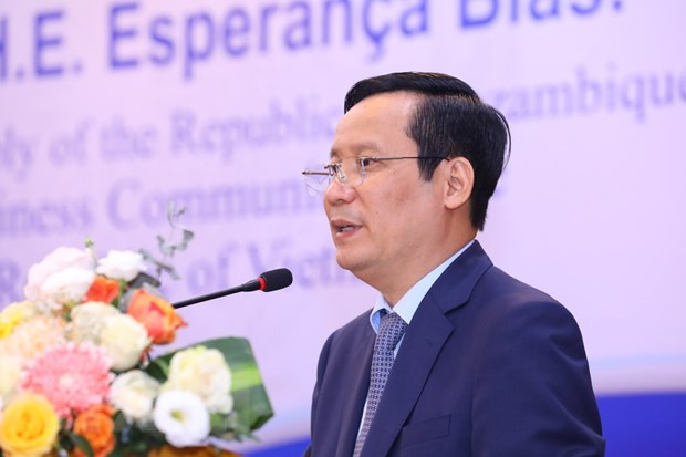 Mozambique – gateway for Vietnamese firms to access Southern Africa ảnh 2 Mozambique – gateway for Vietnamese firms to access Southern Africa ảnh 2
