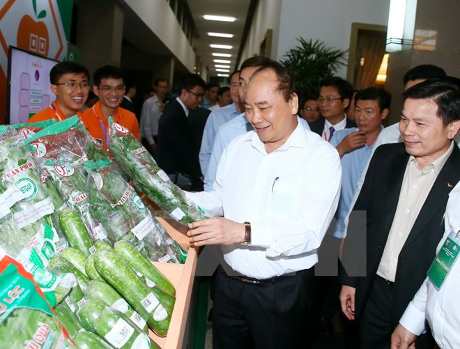 PM urges endeavours to turn Vietnam into agricultural powerhouse ảnh 1