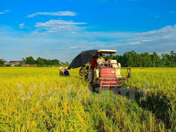 Vietnam should clear economic bottlenecks to keep high growth: experts ảnh 1 Vietnam should clear economic bottlenecks to keep high growth: experts ảnh 1