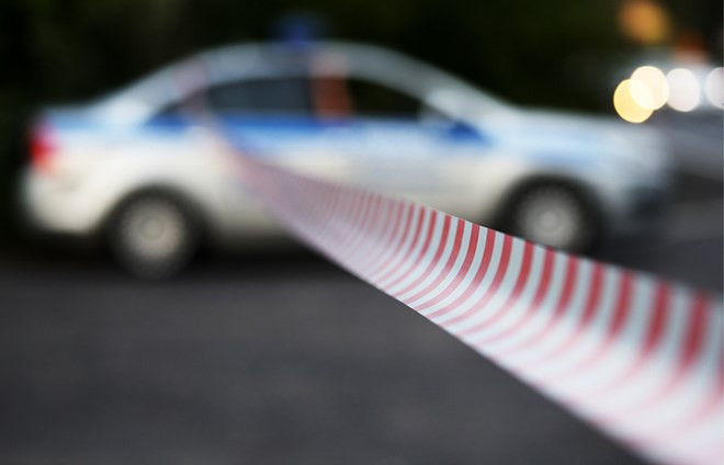 Embassy verifies Vietnamese deaths in Russia’s road accident ảnh 1