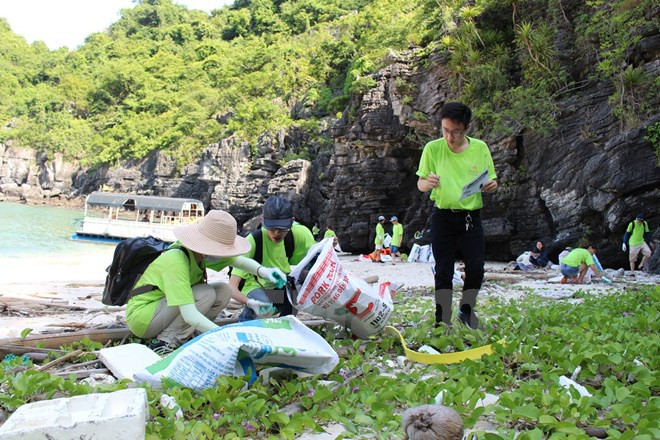 Campaign calls on community to clean sea ảnh 1
