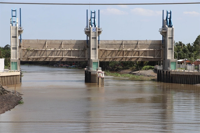 Saltwater intrusion threatens Mekong Delta rice crop ảnh 1 Saltwater intrusion threatens Mekong Delta rice crop ảnh 1