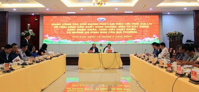 Gia Lai urged to promote administrative reform ảnh 1