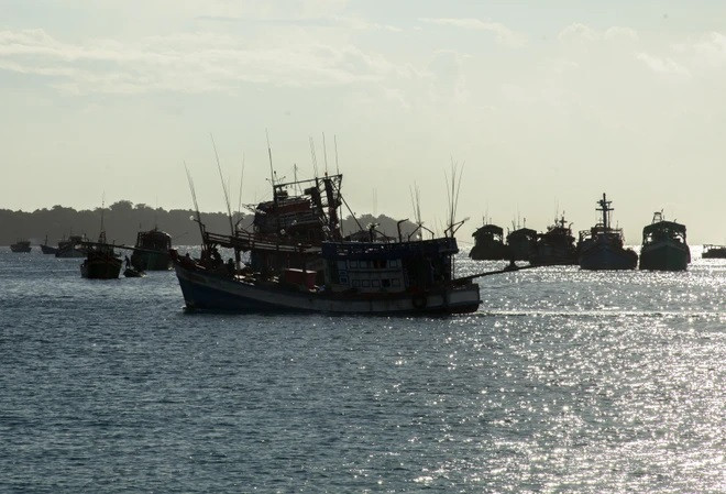 Minister affirms effective protection of overseas Vietnamese ảnh 2