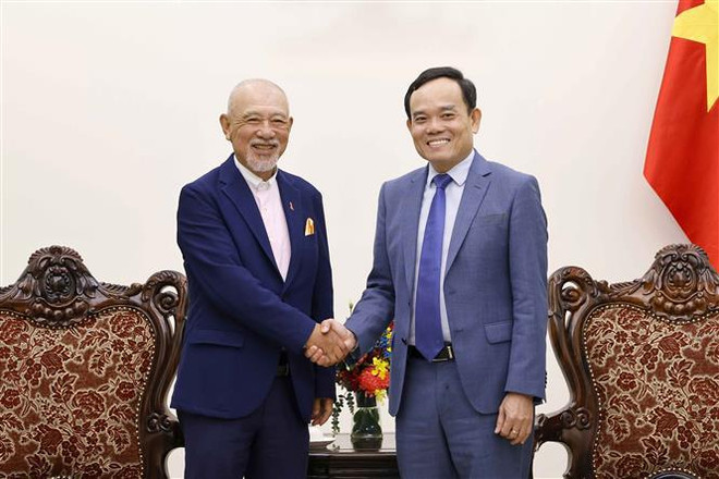 Deputy PM praises Japanese foundations for decades of support ảnh 1 Deputy PM praises Japanese foundations for decades of support ảnh 1