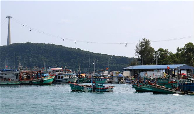 Kien Giang takes action in IUU fishing combat ảnh 1