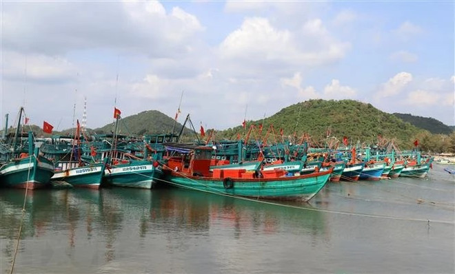 Ba Ria-Vung Tau levies heavy fines on vessels violating IUU fishing regulations ảnh 1