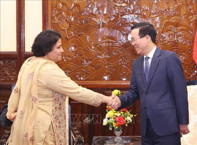 President receives outgoing Pakistani Ambassador ảnh 1
