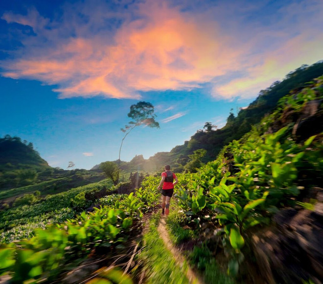 More than 2,200 runners to join Vietnam Ultra Marathon ảnh 1 More than 2,200 runners to join Vietnam Ultra Marathon ảnh 1
