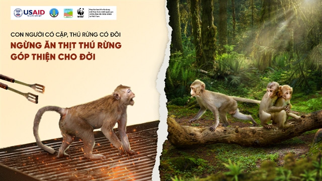 People called on to reduce wildlife meat demand ảnh 1 People called on to reduce wildlife meat demand ảnh 1
