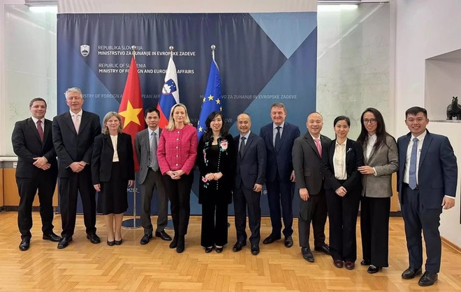 Vietnam treasures ties with Slovakia: Deputy FM ảnh 1 Vietnam treasures ties with Slovakia: Deputy FM ảnh 1