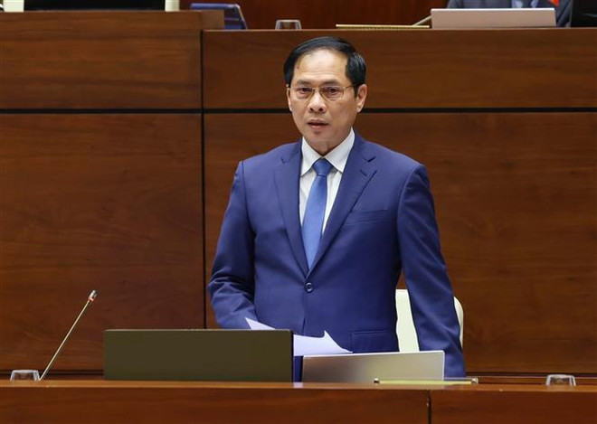Diplomacy helps mobilise external resources for socio-economic development: minister ảnh 2 Diplomacy helps mobilise external resources for socio-economic development: minister ảnh 2
