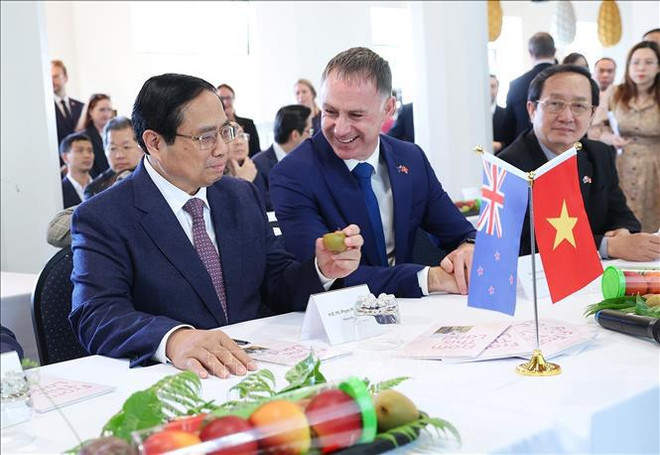PM expects breakthrough in agricultural cooperation with New Zealand ảnh 1