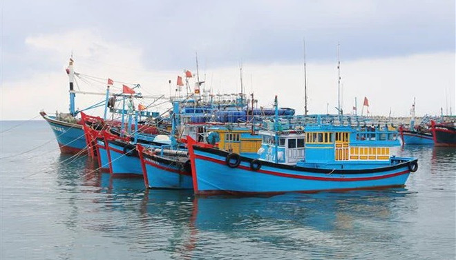 Thanh Hoa takes drastic measures to combat IUU fishing ảnh 1 Thanh Hoa takes drastic measures to combat IUU fishing ảnh 1