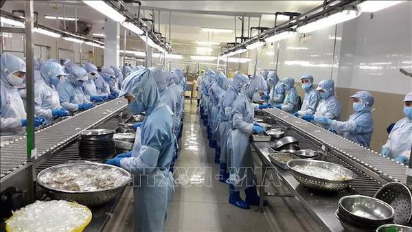 Agro-forestry-fisheries sector enjoys trade surplus of 3.3 billion USD in eight months ảnh 1