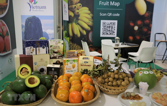 Vietnamese farm produce introduced at fruit & vegetable show in Italy ảnh 1 Vietnamese farm produce introduced at fruit & vegetable show in Italy ảnh 1