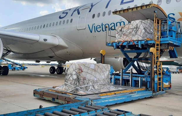 German-donated COVID-19 test kits arrive in Vietnam ảnh 1