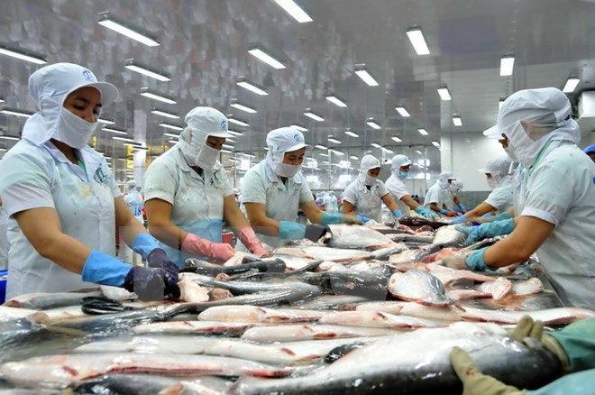 Tra fish industry advised to explore new markets ảnh 1 Tra fish industry advised to explore new markets ảnh 1