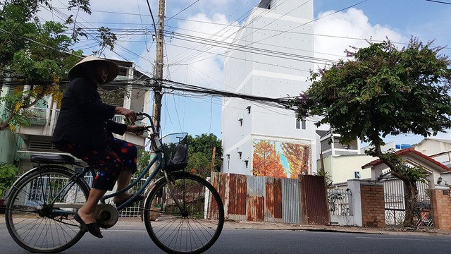 Mekong Delta province to supervise bird nest farming ảnh 1