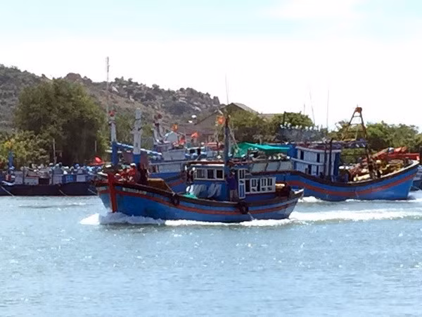 VINAFIS opposes China’s unilateral fishing ban in East Sea ảnh 1