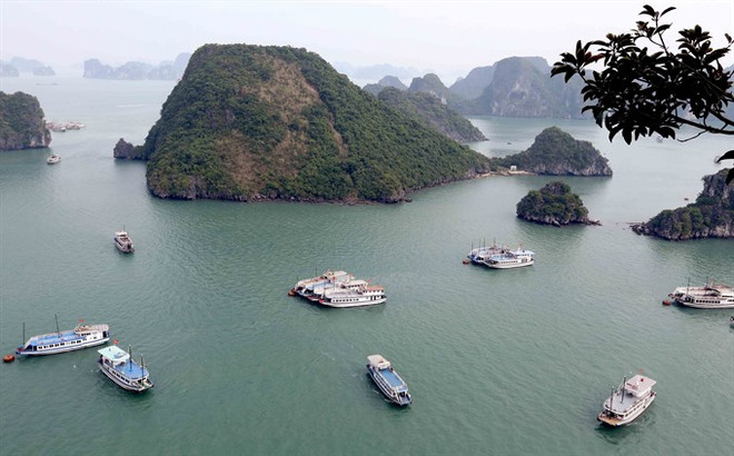 Ha Long Bay’s water under threats ảnh 1