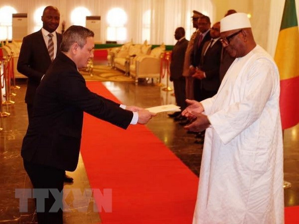 Malian President keen on boosting partnership with Vietnam ảnh 1