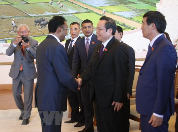 Vietnam, Madagascar beef up cooperation ảnh 1