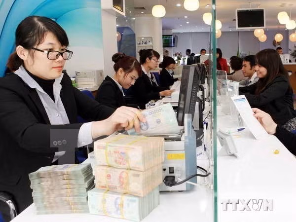Reference exchange rate down 5 VND ảnh 1
