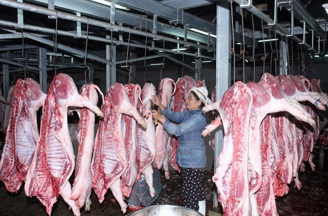 HCM City to set up pork trading floor ảnh 1 HCM City to set up pork trading floor ảnh 1