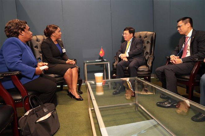 Vietnam boosts cooperation with Netherlands, African countries ảnh 2 Vietnam boosts cooperation with Netherlands, African countries ảnh 2