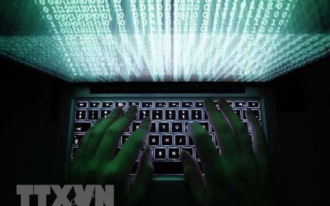 Nearly 3,000 IP addresses in Vietnam linked with data leak ảnh 1