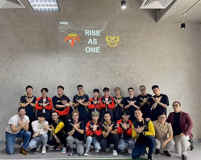 Vietnamese esports teams to compete at world championships ảnh 1