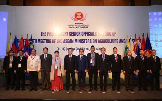 ASEAN works towards innovative agriculture ảnh 1 ASEAN works towards innovative agriculture ảnh 1