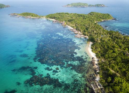 Vietnam strives to become strong sea-based country ảnh 1