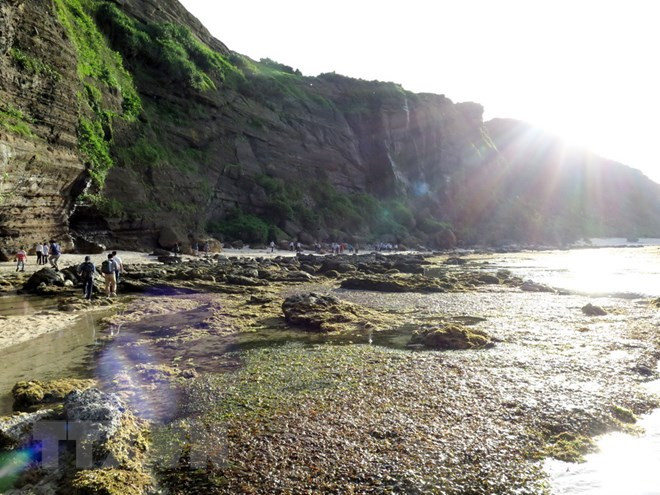 Ly Son geopark in central province seeks global status ảnh 1