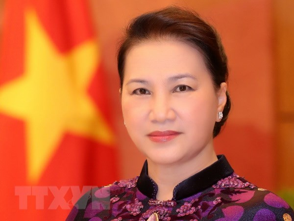 NA Chairwoman to attend 3rd MSEAP, visit Turkey ảnh 1
